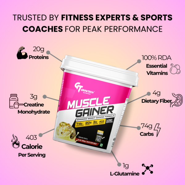 MuscleGainer HighCalorie WorkoutSupplement MuscleRecovery StrengthTraining